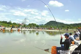 黑坑钓鱼这种行为“纯属浪费钱”看看你有没有中招图片