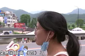 马路上被马撞倒踩伤，当时马上还有人图片