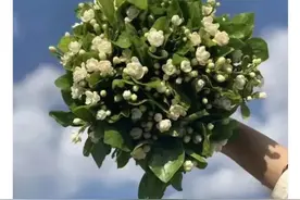 女友要结婚了，新郞不是我图片