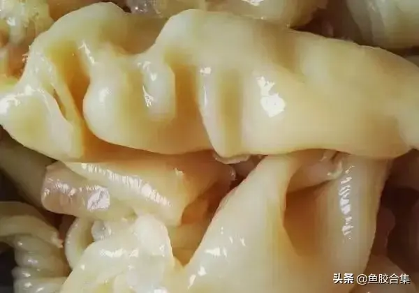 鱼胶炖化了还有营养吗 2026年鱼胶炖化了还有营养吗怎么吃 鱼胶炖化了还有营养吗 2026年鱼胶炖化了还有营养吗怎么吃