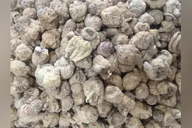 玛卡 所有规格 原图没有修饰 关注我 每天更新中药原图图片