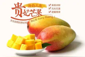 贵妃芒、金煌芒、桂七芒、金百花、甜心芒的区别是啥，哪个更好吃图片