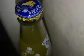 试喝饮料：北冰洋橙汁汽水图片
