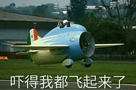 堪称最奇葩飞机，除长得萌一无是处，为速度而生却只能飞131KM/h图片