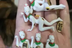 搞笑段子：你是我冲动的惩罚图片