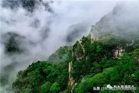 盘龙七的传说图片