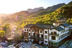走向我们的小康生活丨疫情期间逆势增长 小市一庄带领村民致富图片