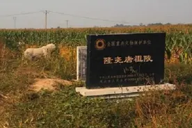 河北麦田发现大型帝王陵，距今1300年，碑文颠覆史书记载图片