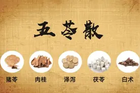 小庸学中医（方剂篇）五苓散-古今利水第一方图片