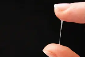 你能读懂自己的白带么？抓住这一特征，让你的受孕几率大大提高图片