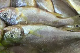 温岭石塘小吃—鱼饼制作图片