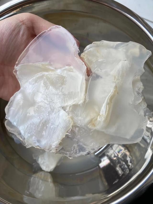 蝴蝶胶怎么泡发 2026年蝴蝶胶怎么泡发快