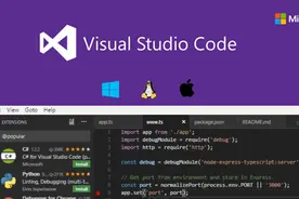 实例解析：如何开发 VSCode LSP 服务图片