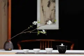 天气渐冷，推荐你可以尝试喝这些茶图片