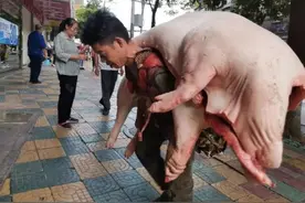 菜场唯一的“背肉人”！110斤男子每天背上万斤猪肉，养活一家7口图片