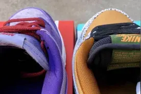 AJ倒闭，Dunk接过大旗，如何区分Dunk和Dunk SB？图片