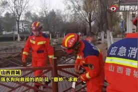 （视频）@太原人！山西晋城某公园，一只迷路的狗狗不慎落水撒娇求救图片