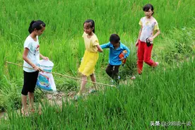 在人间：回忆三十年前农村孩子的暑假图片