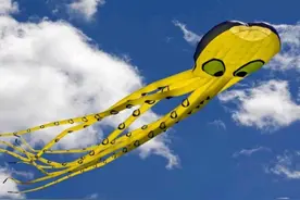 英语里章鱼的复数不是octopi图片