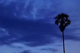 看透一切依然很天真图片
