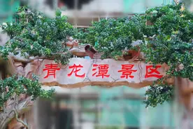 横空出世！泾县又一新景区@高空玻璃水滑，还有免费票拿图片