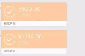 5200元、1314元…丈夫手机出现神秘转账记录！妻子一查，越看越心凉…图片