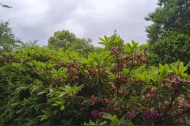 宁波雪窦山图片