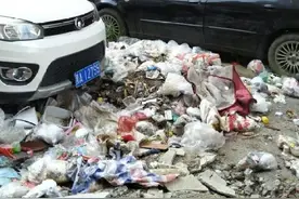 哈尔滨一小区出入口垃圾堆了两个月没人清！现场图片太扎眼…图片