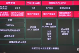 TikTok大卖分享：21天成头部卖家，总转化率+150%图片