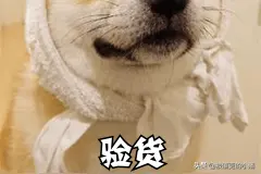 梦幻西游：大佬们，“小潘的周末工作汇报”请查收图片