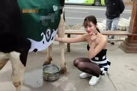 网红当街挤牛奶，引路人纷纷围观，网友调侃：需要帮忙吗？图片