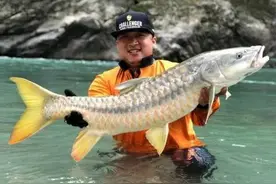澜沧江的金吉罗鱼，曾经是皇室的专供鱼，因数量稀少卖万元一斤？图片
