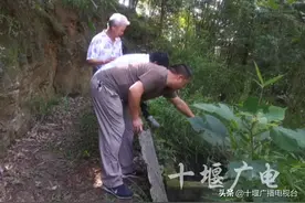 十堰一村井内发现的这只“不明动物”，你见过吗？图片