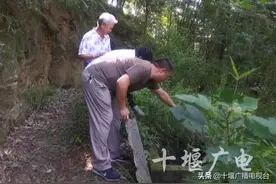 十堰一村井内发现的这只“不明动物”，你见过吗？图片