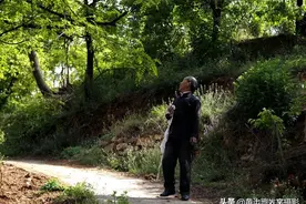 “无本生意”年收入五万元，看76岁大爷在山沟沟里干啥营生图片