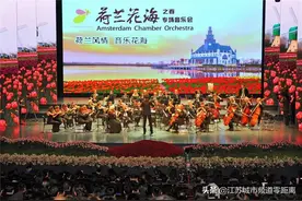 500多万人在线观看！众星云集荷兰花海！这场音乐盛典燃爆了图片