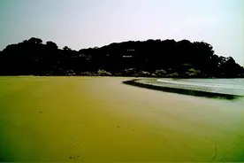我的“擀面杖保健法”方便可行不花钱图片