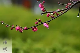 我与岳父的故事图片