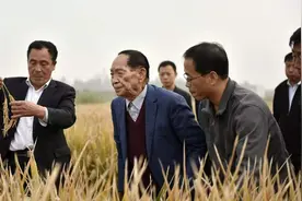 袁隆平老爷子的“特殊驾照”，上面多了9个字，这是他应得的！图片