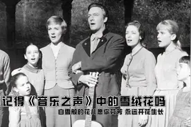 你还记得《音乐之声》中的雪绒花吗图片