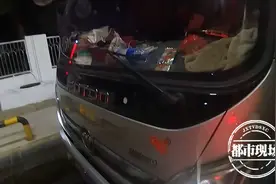 男子驾驶室藏狗 称为防止车辆被盗 民警：不安全图片