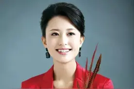 央视美女主持人图片一册，欣赏图片