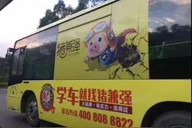 网红驾校“猪兼强”倒闭始末：从收款10秒到退费10个月图片