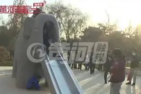 人气爆棚！太原迎泽公园 大象滑梯又能滑啦图片