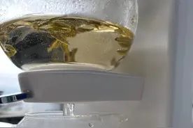 好茶得用好的器皿才能泡出好味道图片