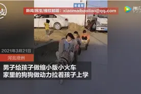 河北一男子给孩子做缩小版小火车，家里的狗狗做动力拉着孩子上学图片