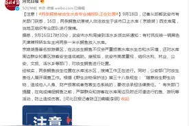 注意！两条鳄鱼非法放生于邯郸武安市 水库专业捕捞队正在处置图片