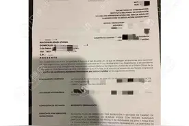 揭秘市面上的真假墨西哥护照？图片
