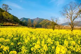见与不见，你都会住在我心上；守与不守，我都会爱你到地老天荒图片