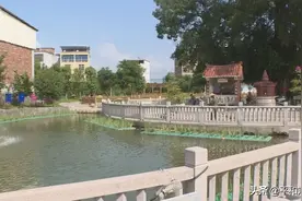 「小溪」湖田村建设生态氧化塘，提升流域水质图片
